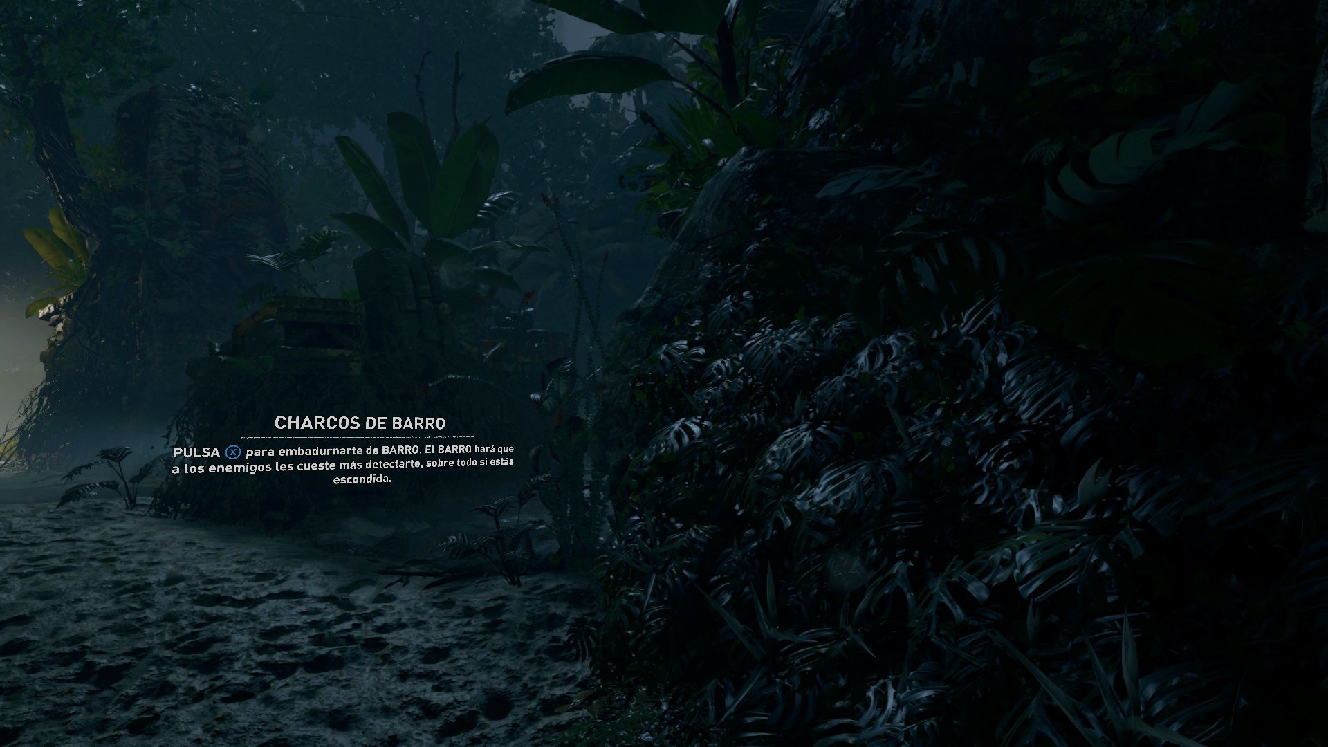 Shadow of the Tomb Raider - Imagen 37